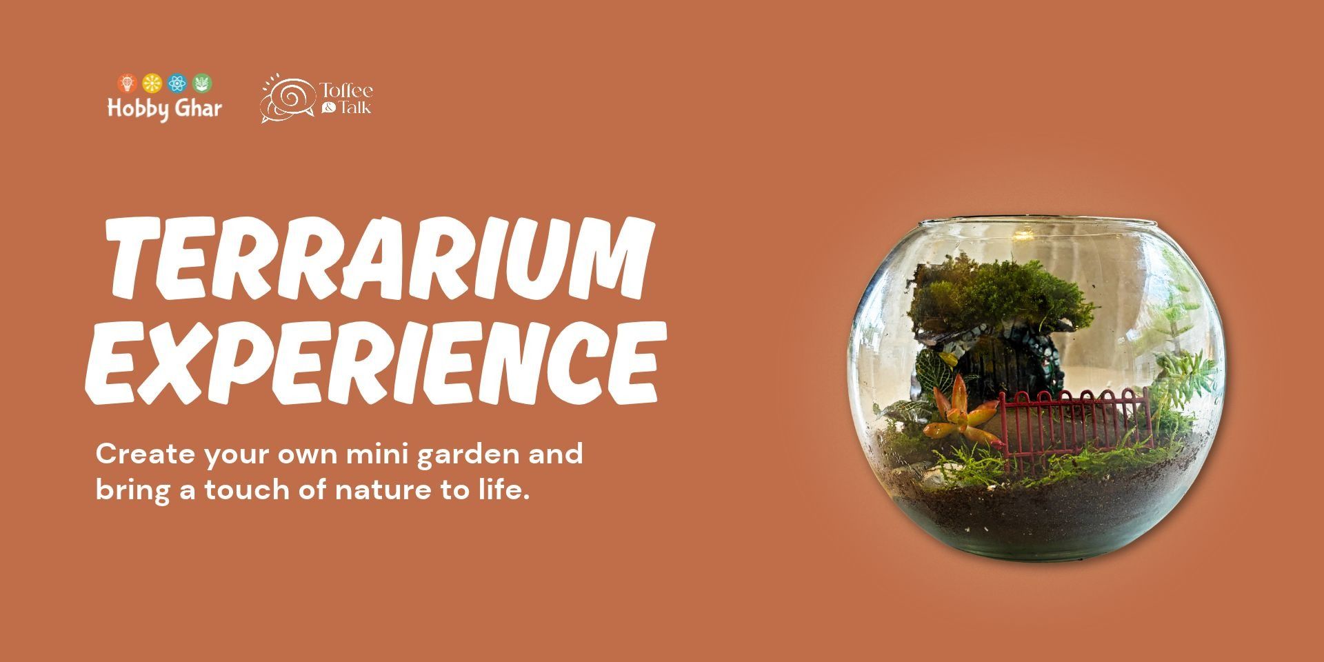 media-desktop-terrarium-experience-0-2026-10-22-t-16-48-40.jpg