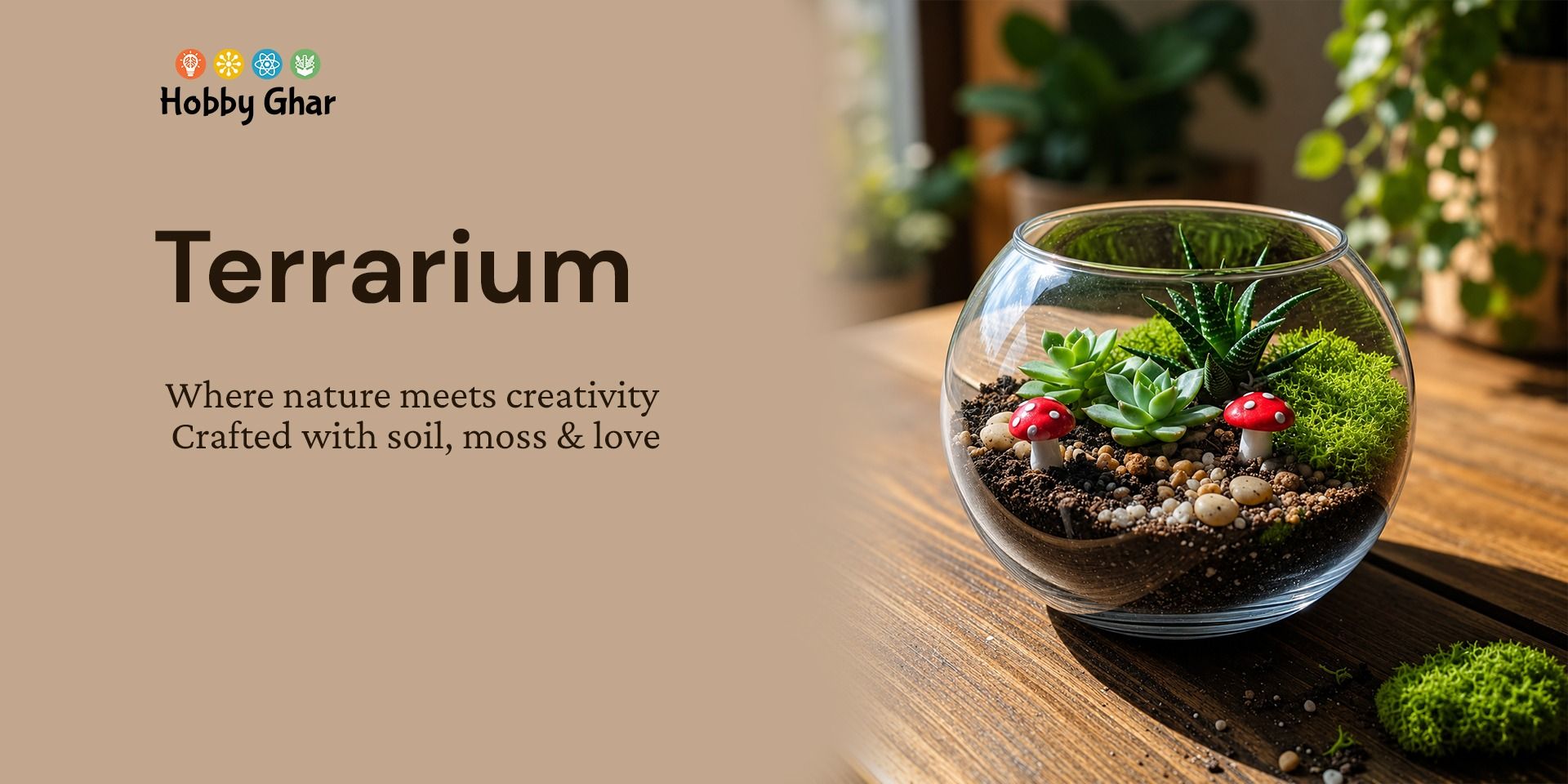 media-desktop-terrarium-making-experience-0-2026-5-11-t-15-22-26.jpg