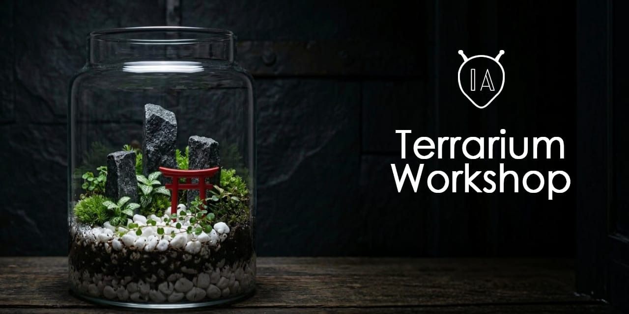 media-desktop-terrarium-workshop-0-2026-6-10-t-4-31-24.jpg