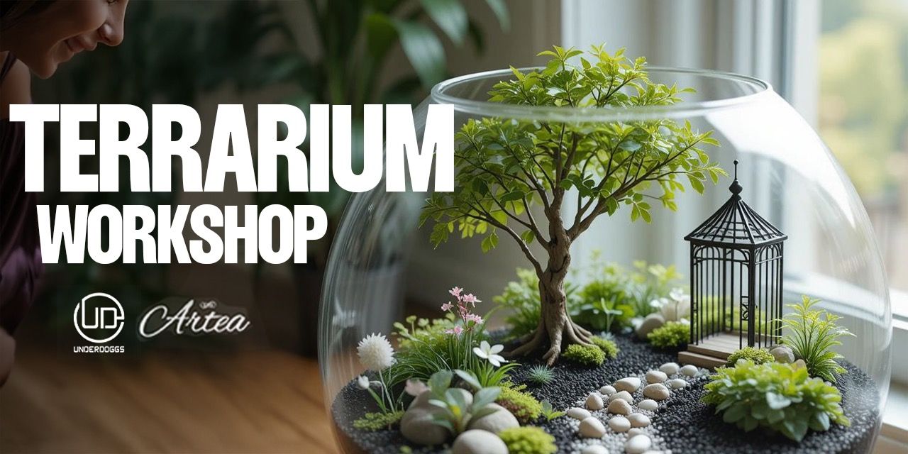 media-desktop-terrarium-workshop-at-underdoggs-0-2026-8-10-t-17-0-37.jpg