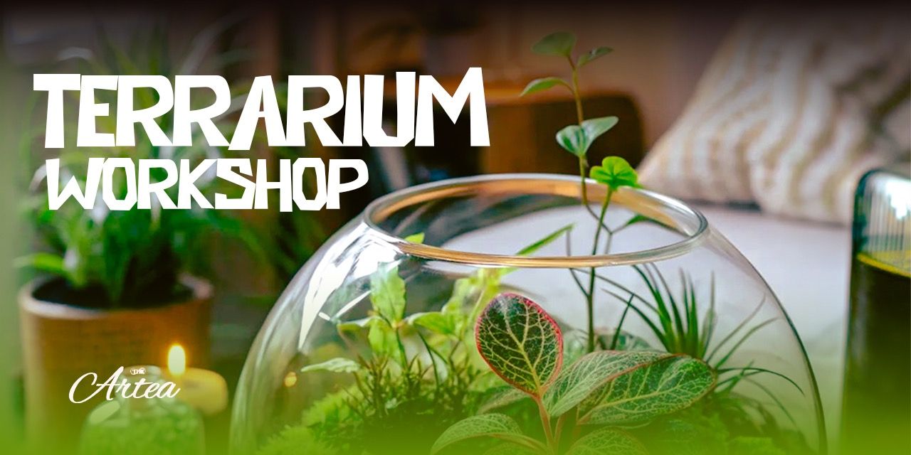 media-desktop-terrarium-workshop-at-underdoggs-0-2026-8-5-t-14-33-33.jpg