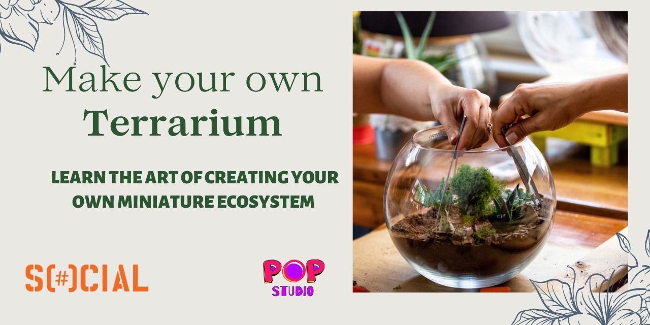 media-desktop-terrarium-workshop-social-0-2024-6-10-t-4-4-10.jpg