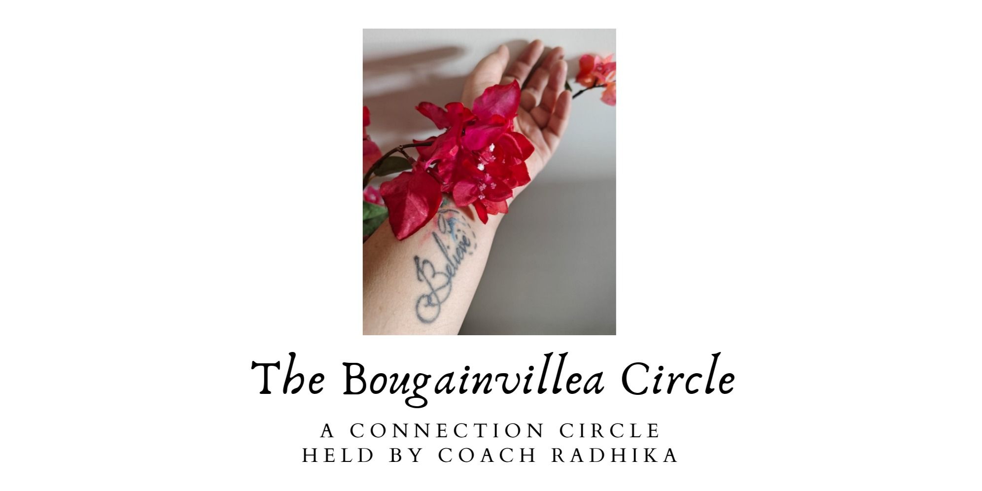 media-desktop-the-bougainvillea-circle-0-2025-4-24-t-10-28-39.jpg