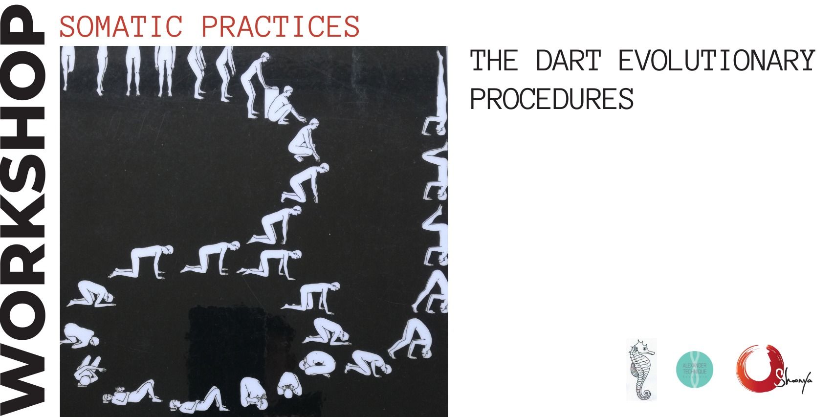 media-desktop-the-dart-evolutionary-procedures-0-2023-8-31-t-14-4-1.jpg