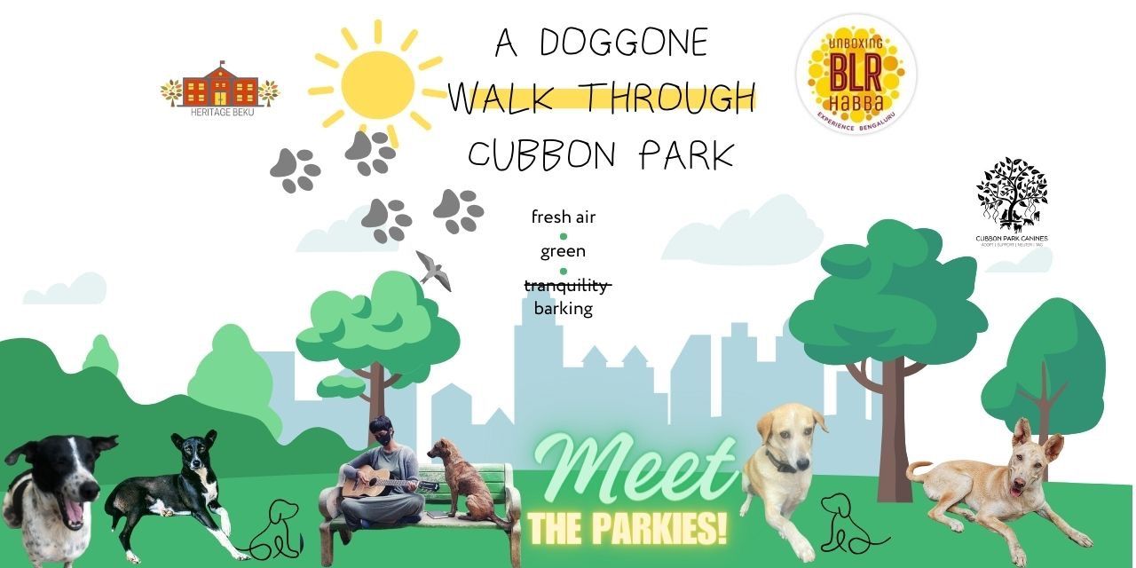 media-desktop-the-doggone-park-walk-0-2023-11-29-t-3-51-11.jpg