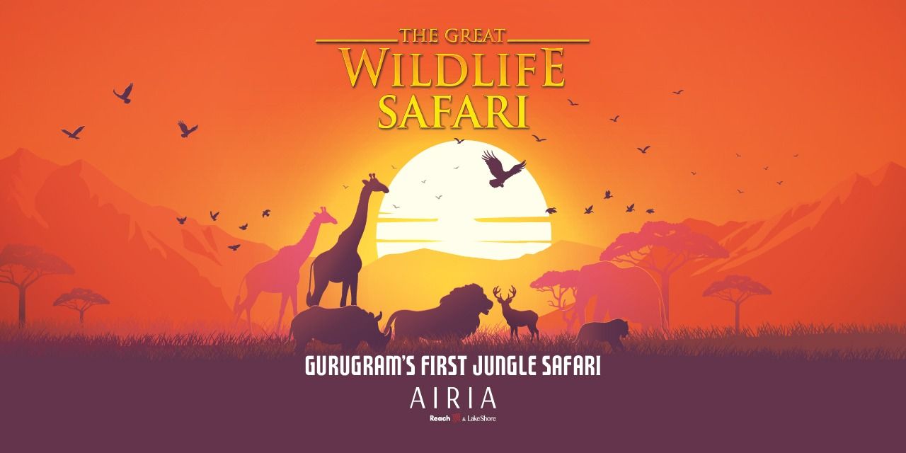 media-desktop-the-great-wildlife-safari-0-2026-4-23-t-11-59-9.jpg