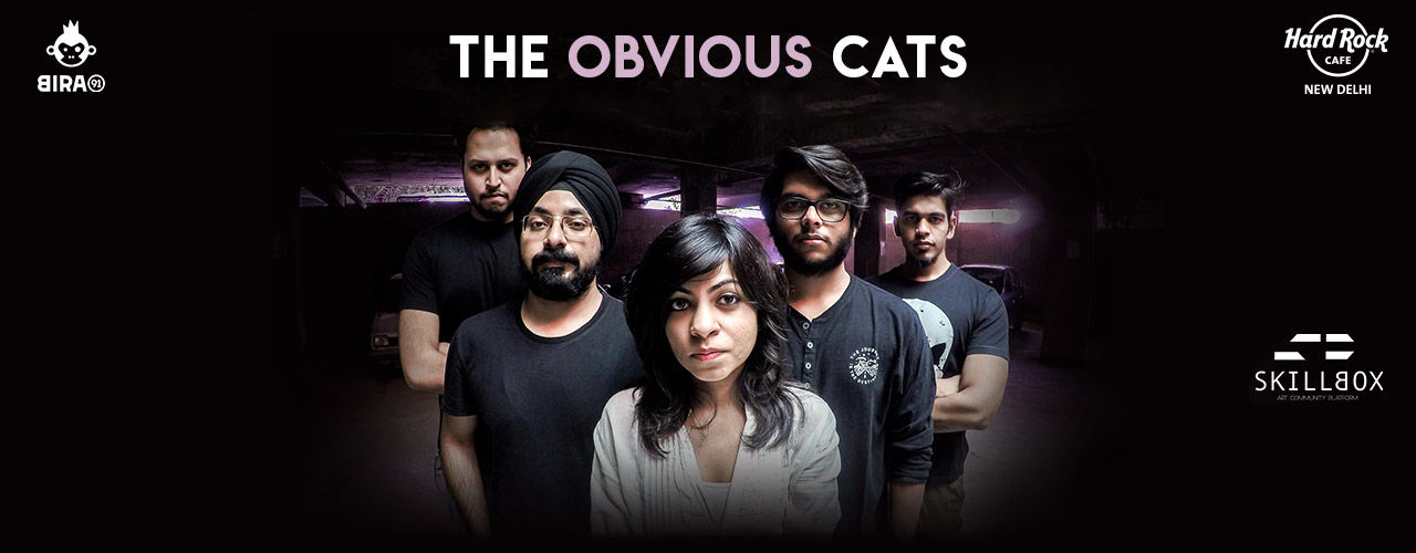 media-desktop-the-obvious-cats-thursday-live-2019-1-5-t-14-17-52.jpg