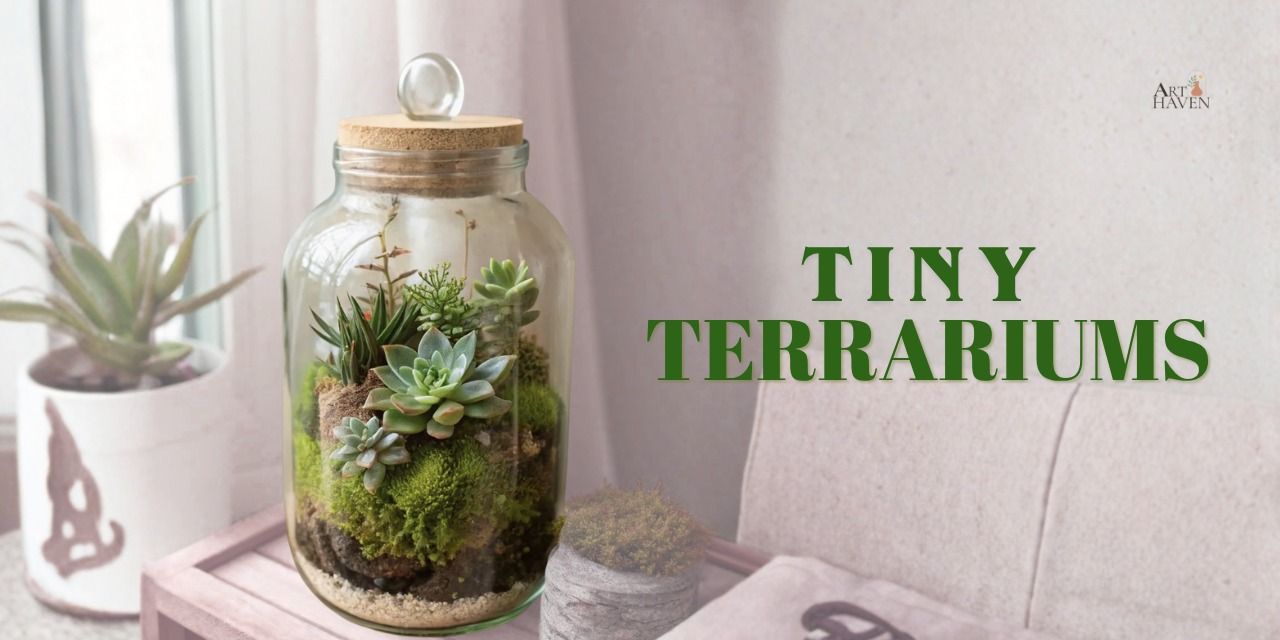 media-desktop-tiny-terrariums-0-2026-7-7-t-8-53-28.jpg