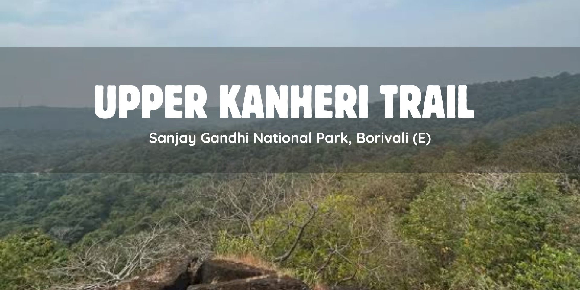 media-desktop-upper-kanheri-nature-trail-0-2026-6-30-t-7-16-27.jpg