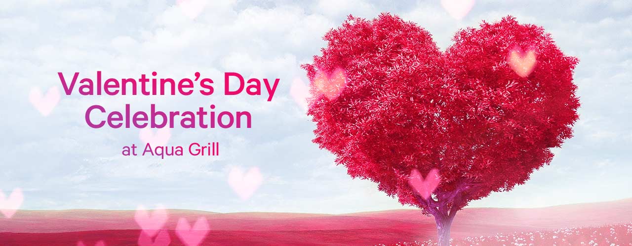 media-desktop-valentines-day-celebration-at-auqa-grill-2020-1-22-t-12-22-37.jpg
