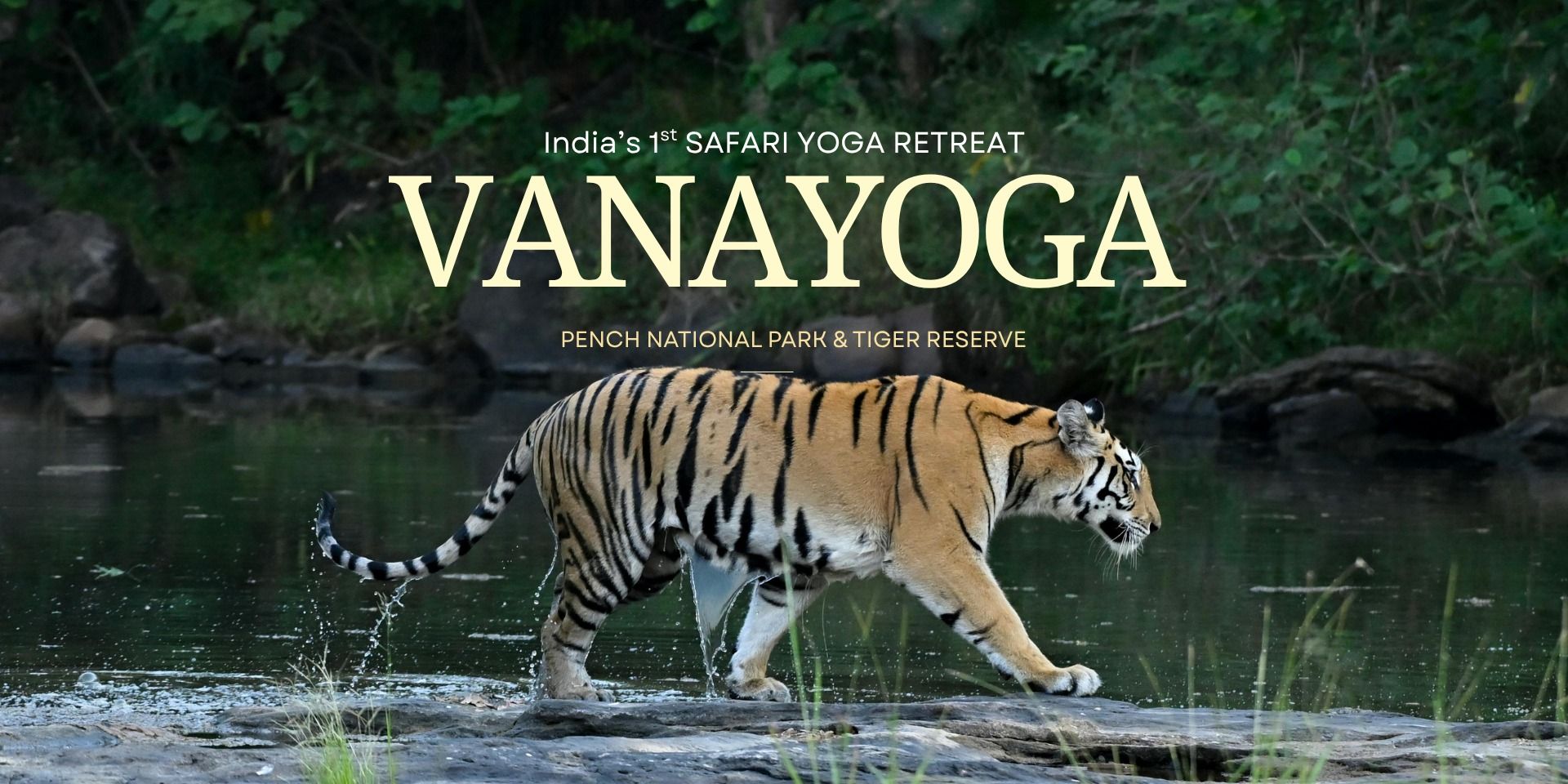 media-desktop-vanyoga-safari-yoga-retreat-0-2026-8-10-t-13-55-15.jpg