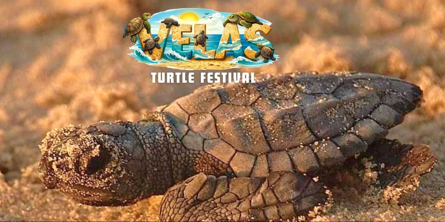 media-desktop-velas-turle-festival-0-2026-4-14-t-7-33-7.jpg