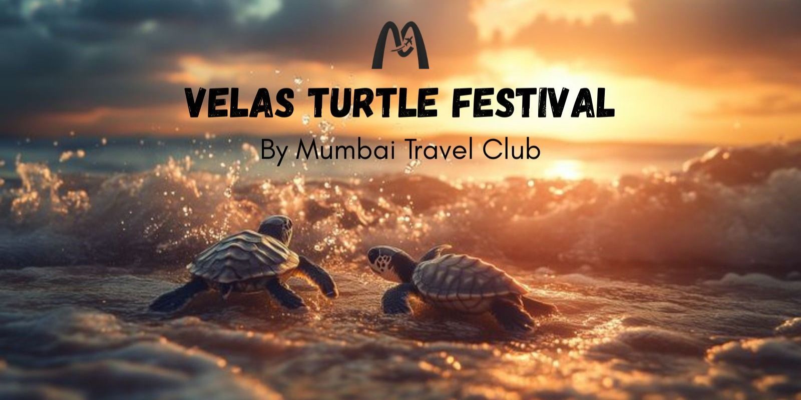 media-desktop-velas-turtle-festival-by-mumbai-travel-club-0-2026-3-6-t-11-12-23.jpg