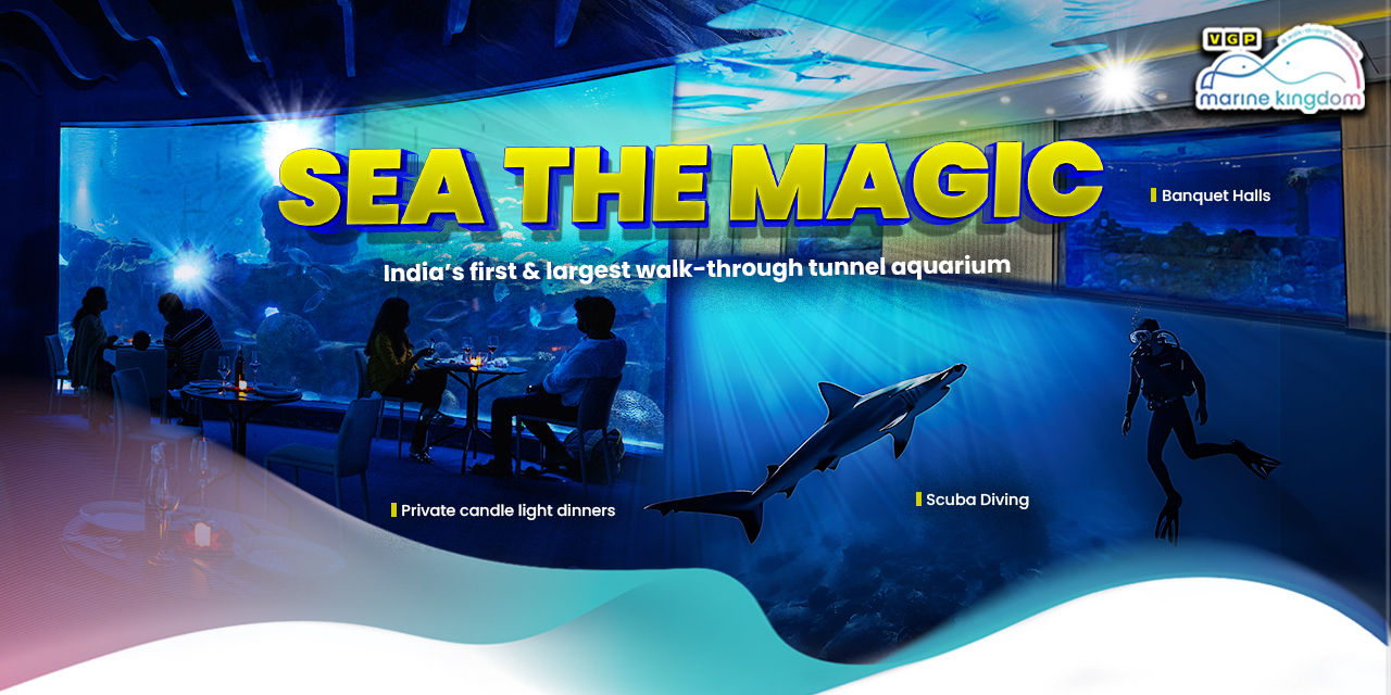 VGP Marine Kingdom - Chennai