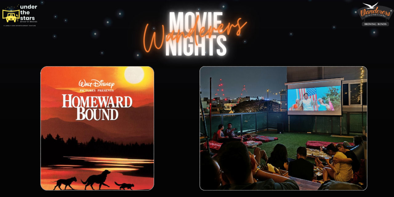 media-desktop-wanderers-movie-nights-international-dog-day-0-2024-8-26-t-10-34-21.jpg