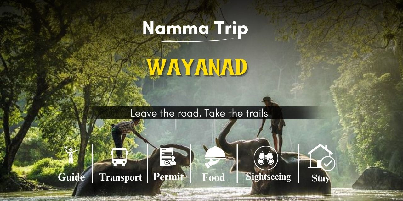Wayanad 3days trip package from Bangalore in Bengaluru