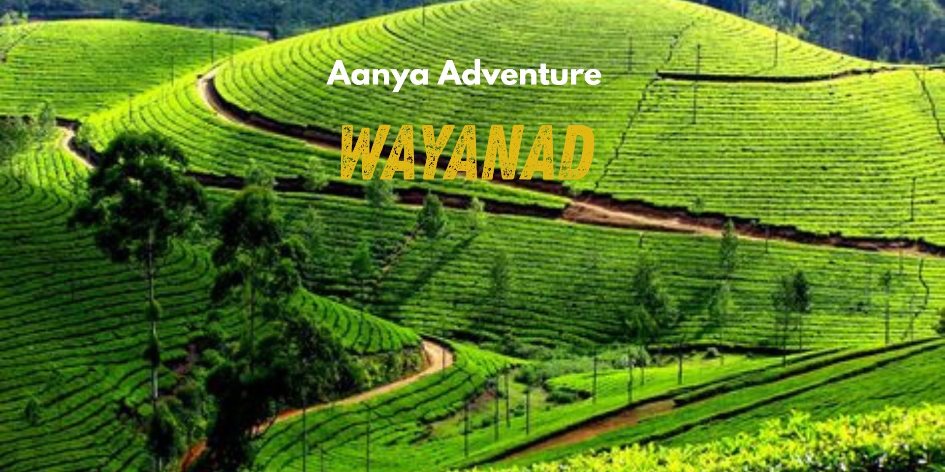 Wayanad long weekend trip in Bengaluru
