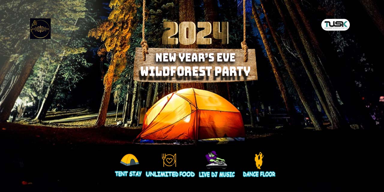 media-desktop-wild-forest-party-0-2023-11-28-t-12-13-14.jpg
