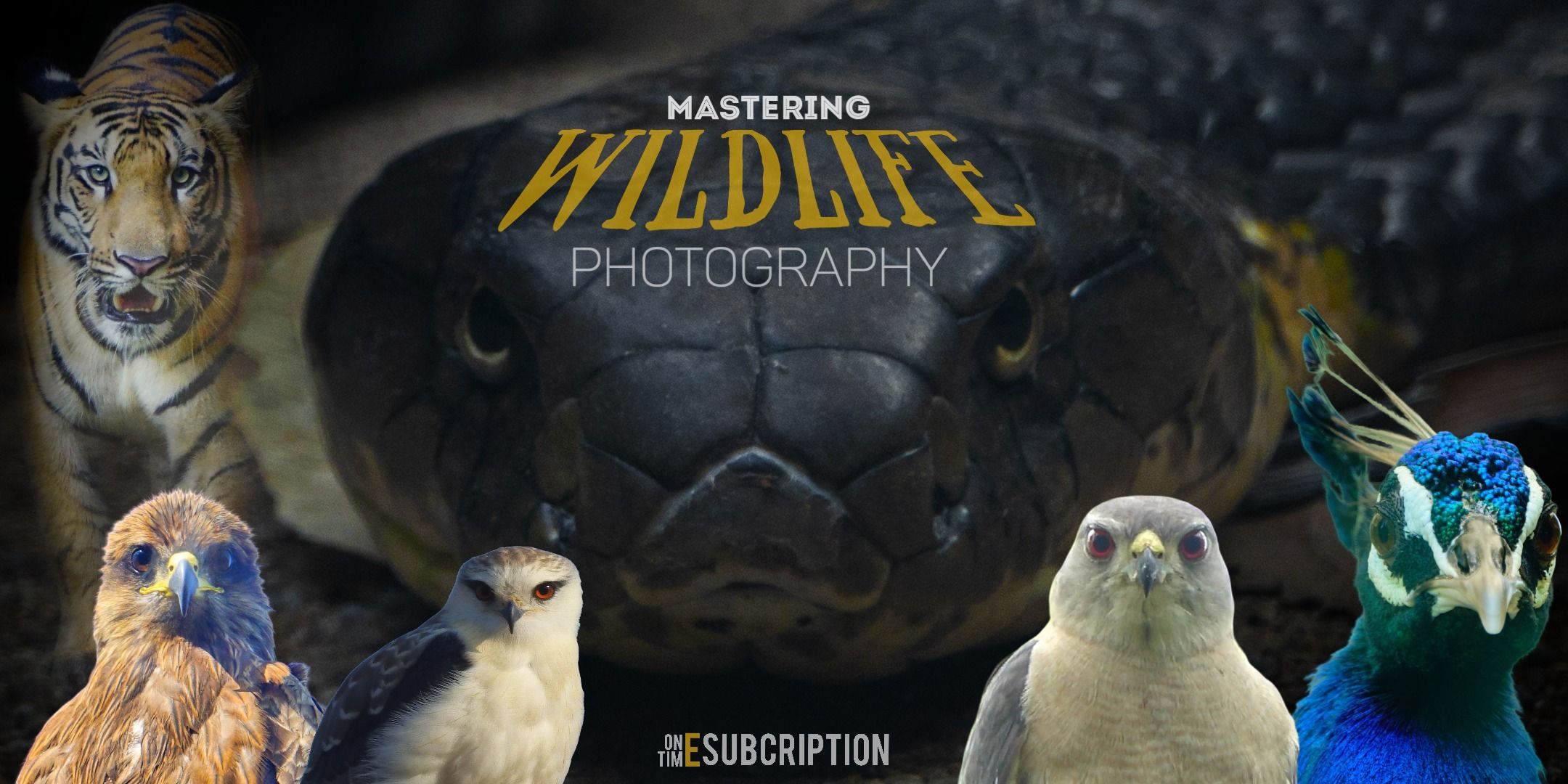 media-desktop-wildlife-photography-3-day-program-0-2026-6-26-t-12-25-47.jpg