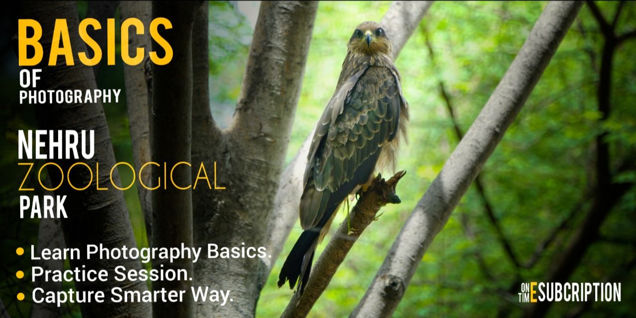 media-desktop-wildlife-photography-gear-features-skills-0-2022-2-14-t-9-48-18.jpg
