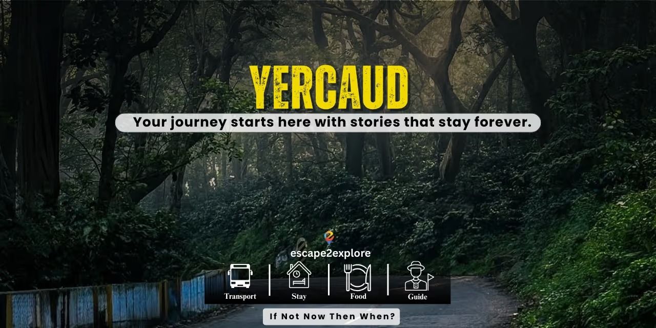 media-desktop-yercaud-tour-0-2026-8-6-t-14-3-26.jpg