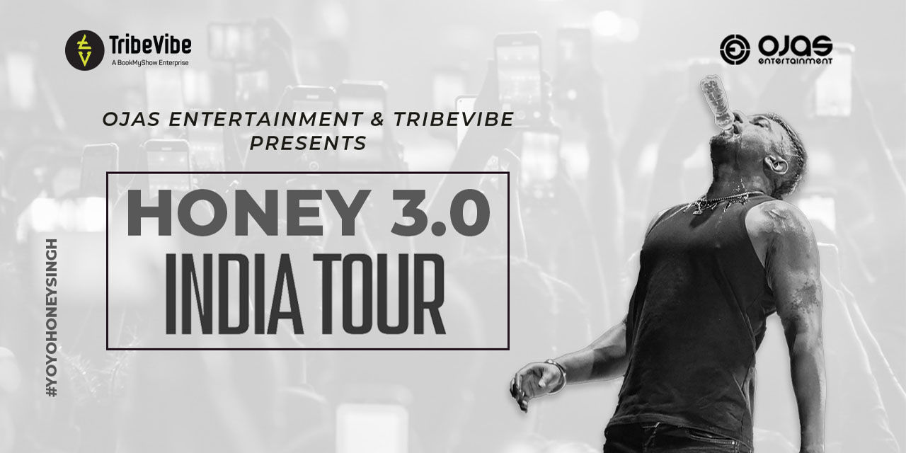 media-desktop-yo-yo-honey-singh-live-in-concert-raipur-0-2023-3-10-t-13-31-30.jpg
