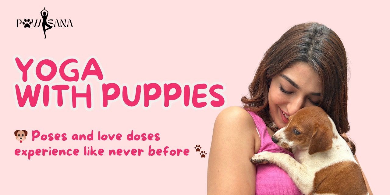 media-desktop-yoga-with-puppies-by-pawasana-0-2024-10-9-t-6-38-54.jpg