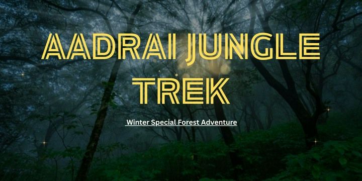 Aadrai Jungle Trek - Winter Adventure