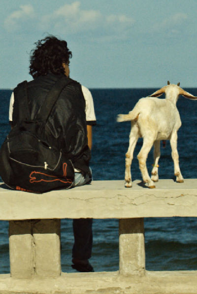 Ali, the Goat and Ibrahim (Ali Mizah Wa Ibrahim)