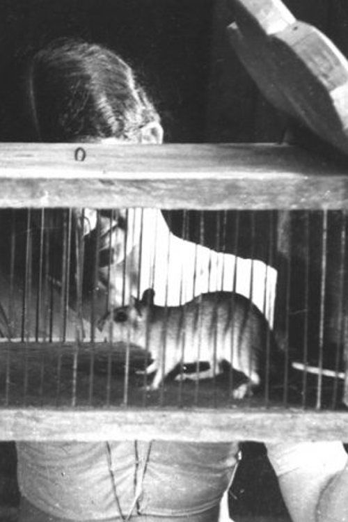 Rat-Trap
