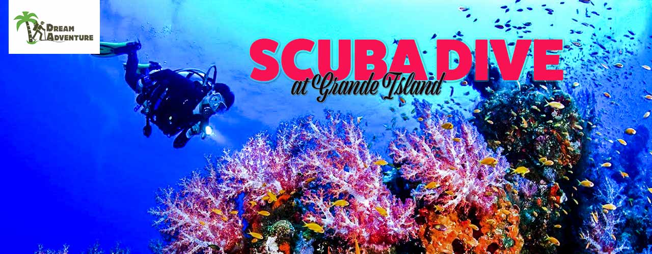 media-desktop-snorkeling-with-island-tour-2018-9-26-t-17-6-54.jpeg